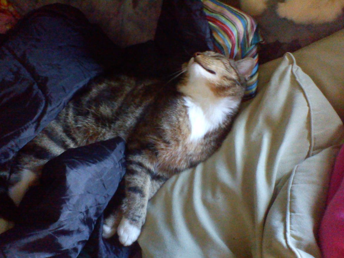 Blanding af racer Edward ~ Baby! <3 billede 7