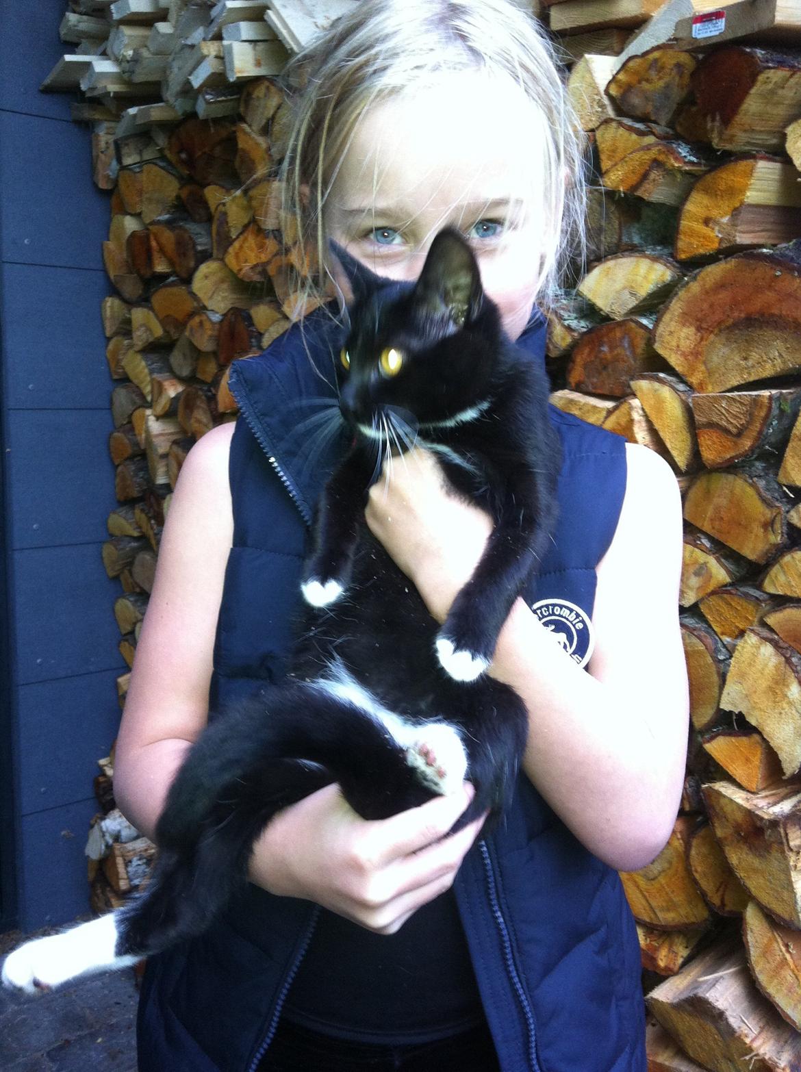 Blanding af racer Kattegårdens Dipsey aka. Snip R.I.P - Ej Helt ærligt jeg gidder ikke fotografers billede 31