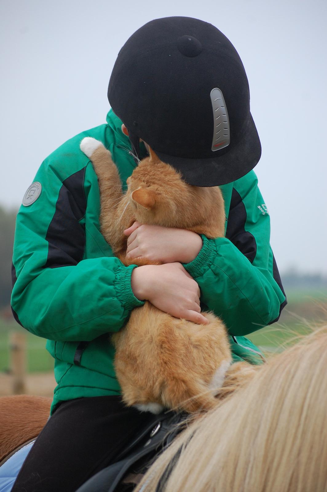 Huskat Hutson - Hutson der selv er kravlet op på hesten, til nicklas, en af mine veninders børn :) billede 20