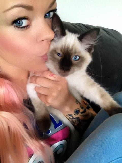 Ragdoll MisMis billede 1