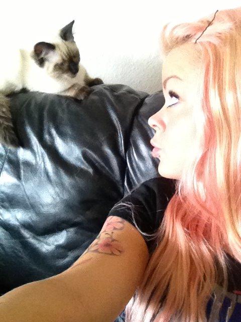 Ragdoll MisMis billede 3