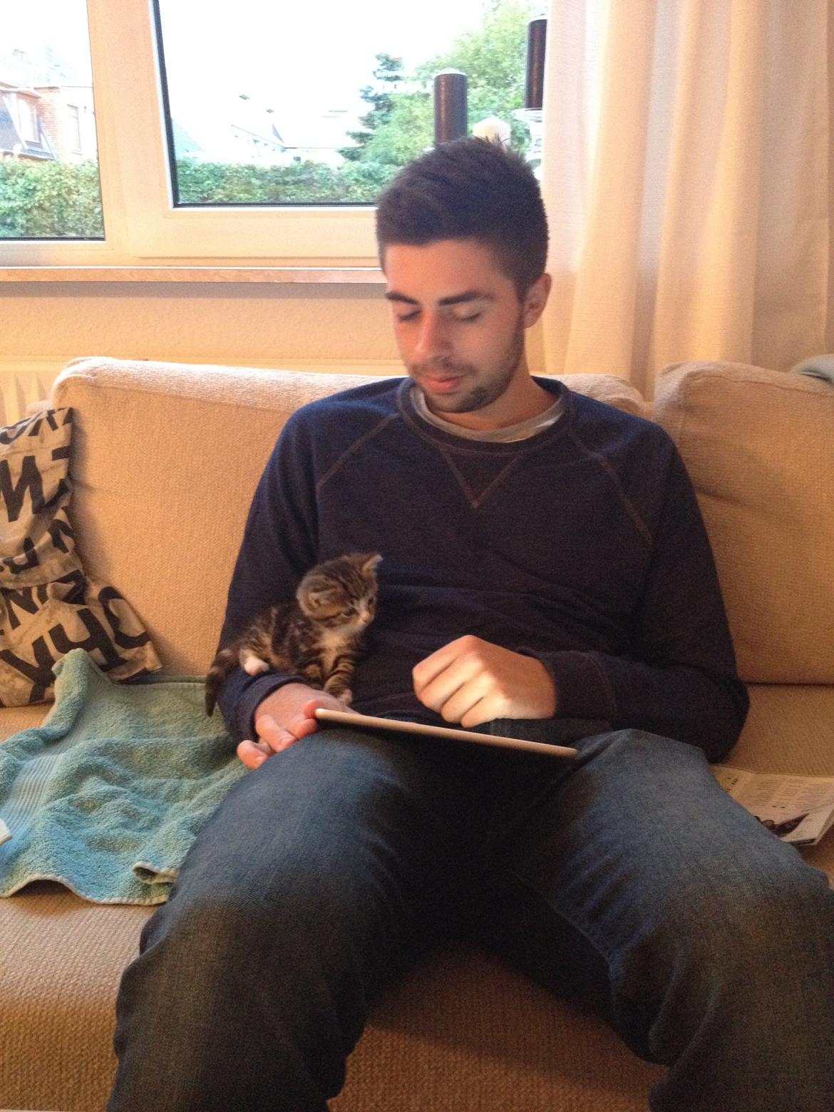 Blanding af racer Amigo - drenge hygge<3 billede 10