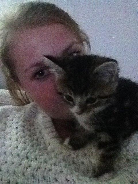 Blanding af racer Amigo - Amigo skal altid være med hvor det sker<3 billede 22