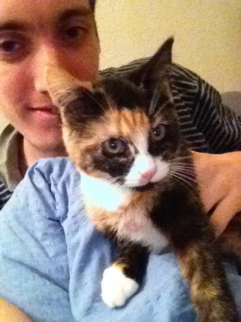 Blanding af racer Berta billede 2