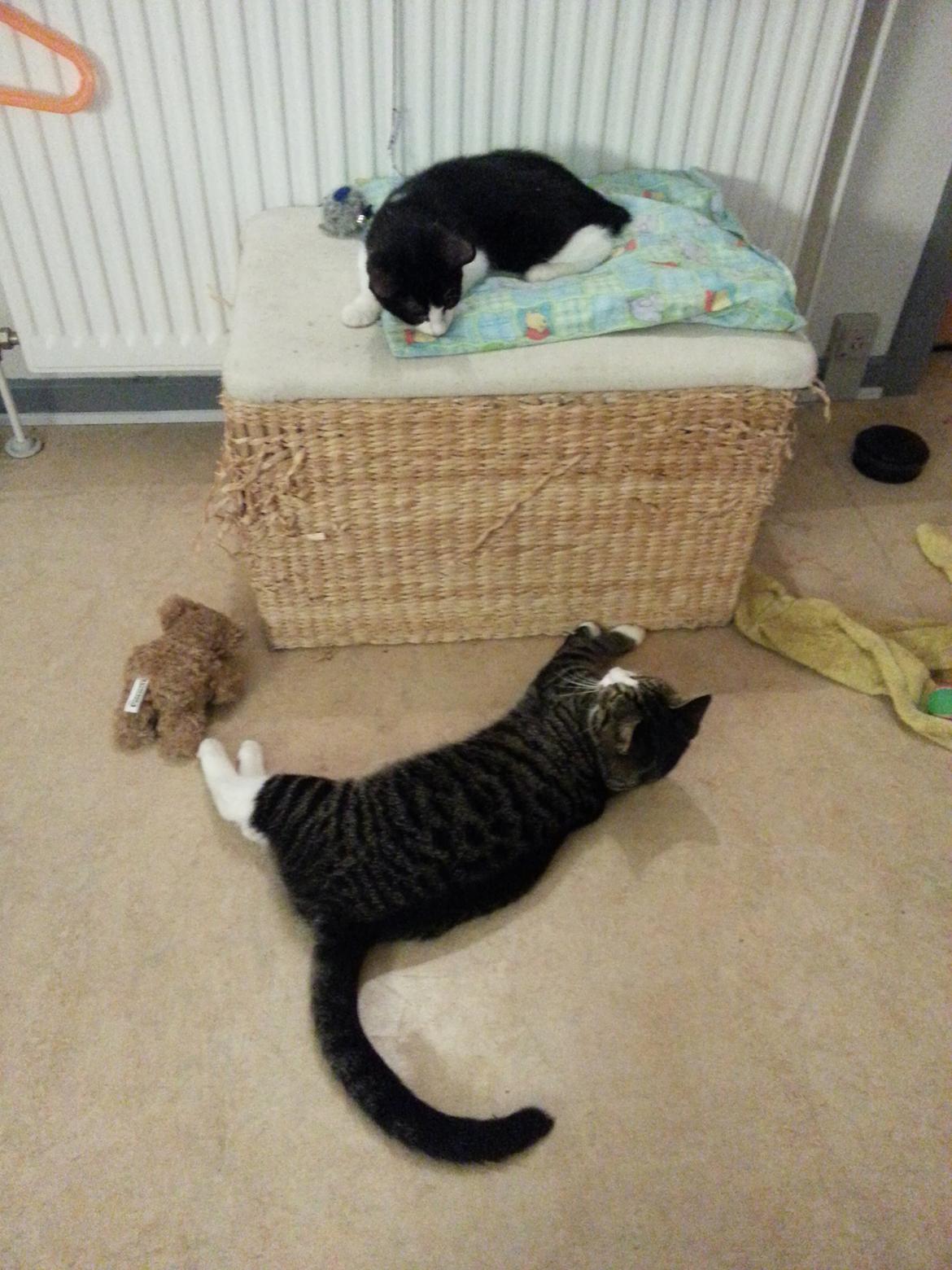 Huskat Pelle "Pjevs" Haleløs - Hvem er du? billede 2