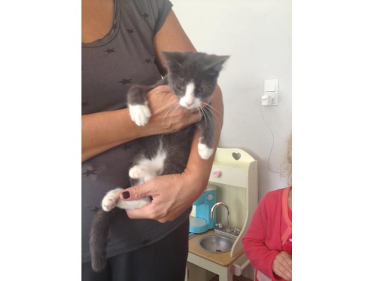 {{currentPhoto.altText}} billede {{currentPhoto.number}}