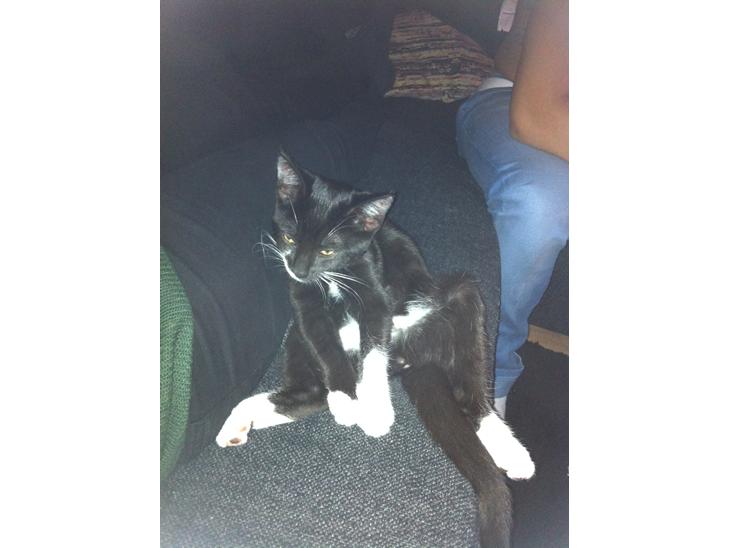 {{currentPhoto.altText}} billede {{currentPhoto.number}}