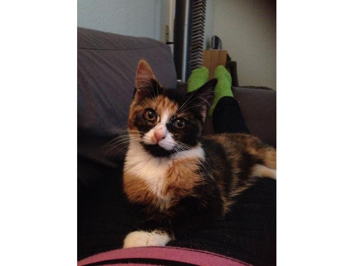 {{currentPhoto.altText}} billede {{currentPhoto.number}}