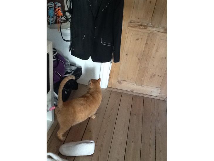 {{currentPhoto.altText}} billede {{currentPhoto.number}}