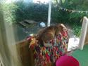 Huskat Vildmissen Fritz