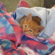 Blanding af racer Kefka