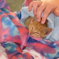 Blanding af racer Kefka