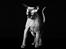 Sphynx Mr. Hyde