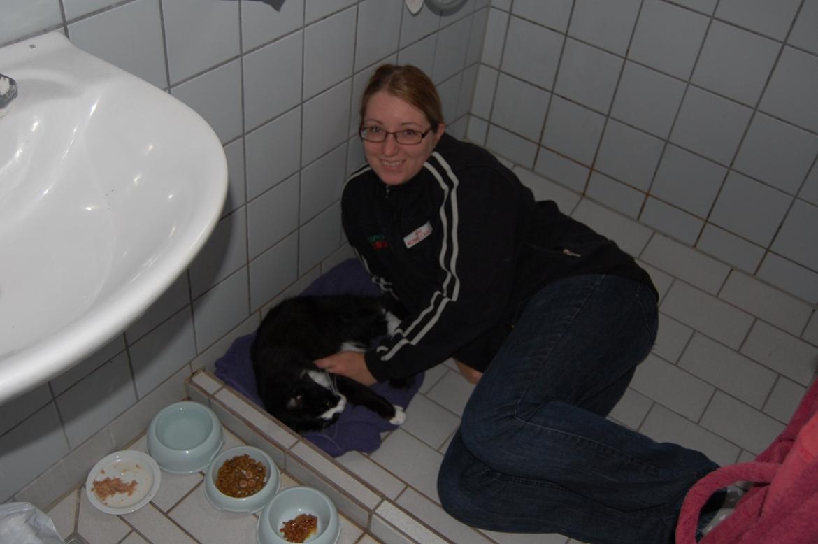 Blanding af racer Mille - Mille og jeg efter vi kom hjem fra dyrlægen billede 19