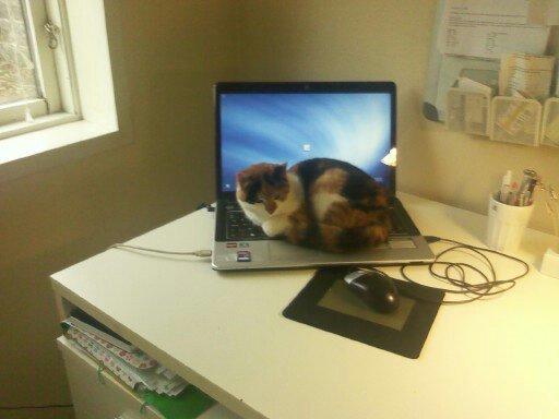 Huskat Silke Miv - Computeren er dejlig varm billede 3