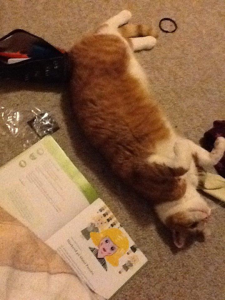 Huskat Garfield billede 18