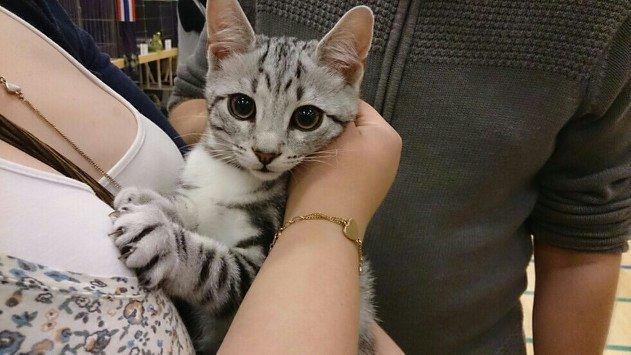 Europé Eife's Jack Wolfskin - Da vi sagde ja til ham billede 10