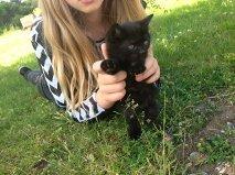 Huskat Ossi billede 1