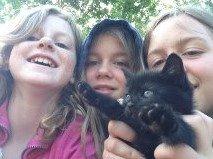 Huskat Ossi billede 3