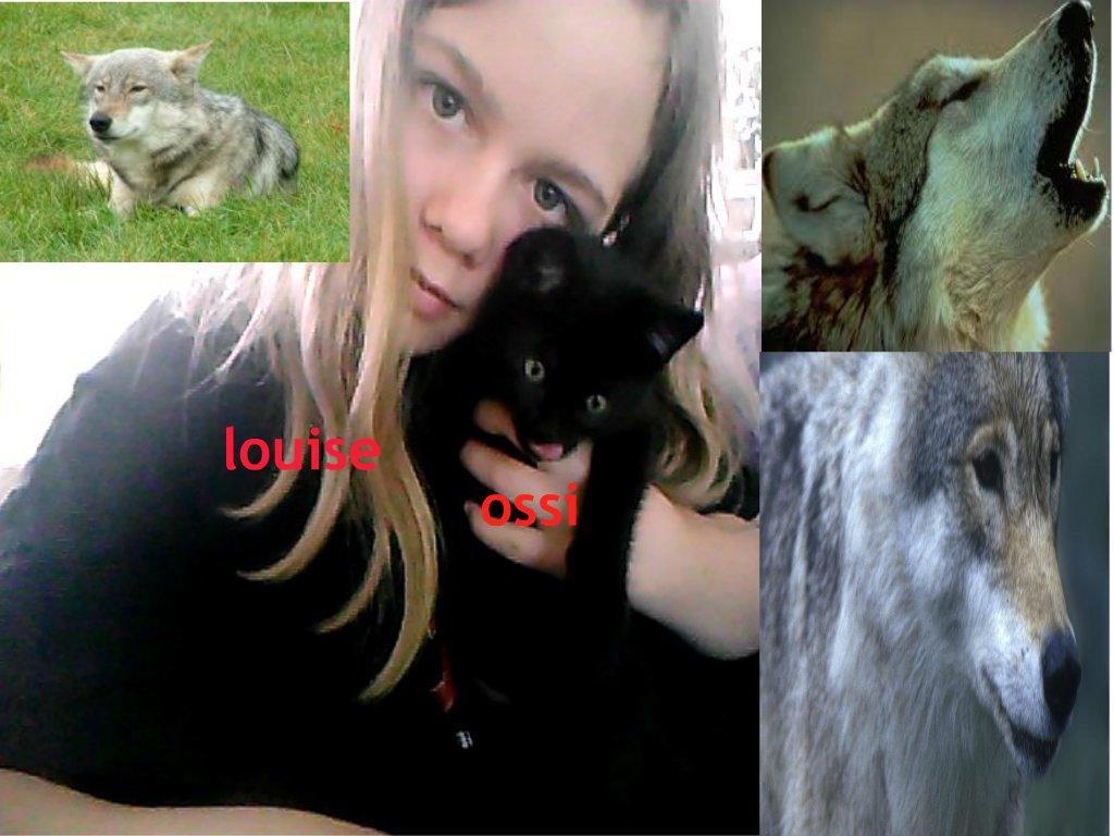 Huskat Ossi billede 4