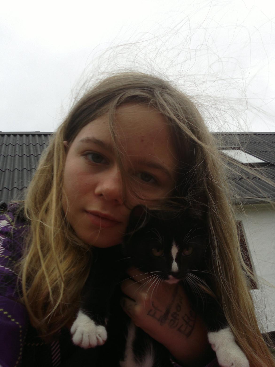 Huskat Sun billede 2