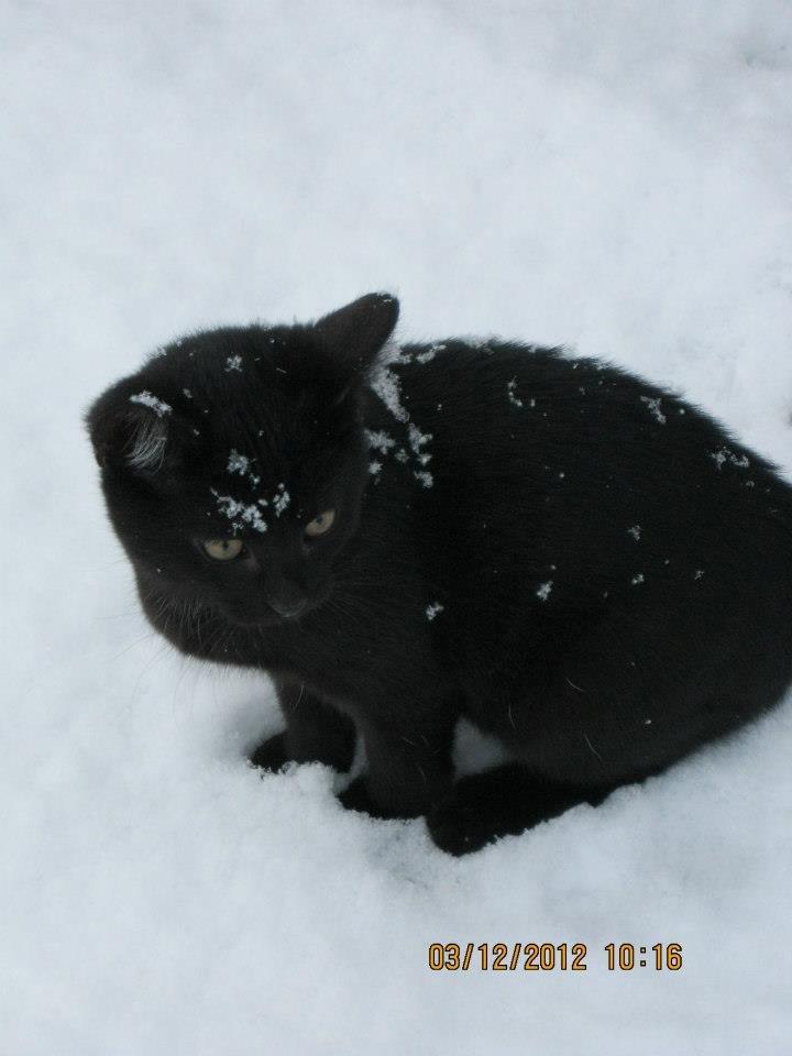 Huskat Nananna billede 1