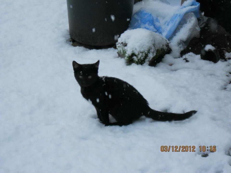 Huskat Nananna billede 3