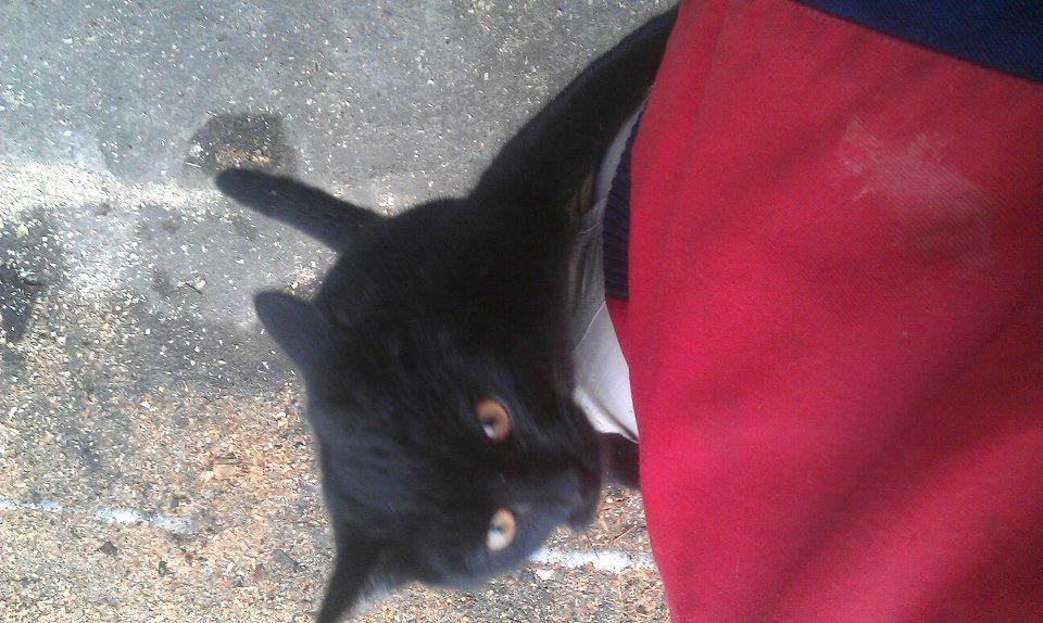 Huskat Nananna billede 6