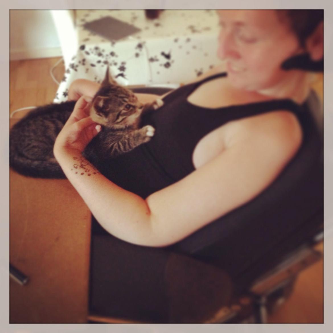 Huskat Mini R.I.P <3 billede 7