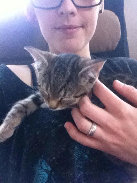 Huskat Nala - puttemis. billede 6