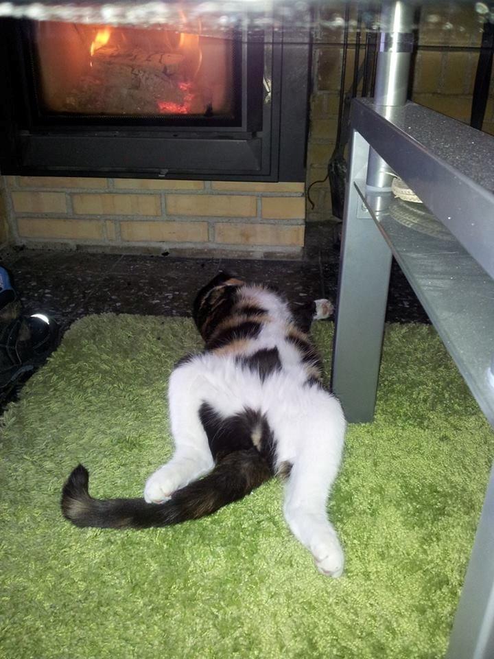 Huskat Putte - varme  billede 5