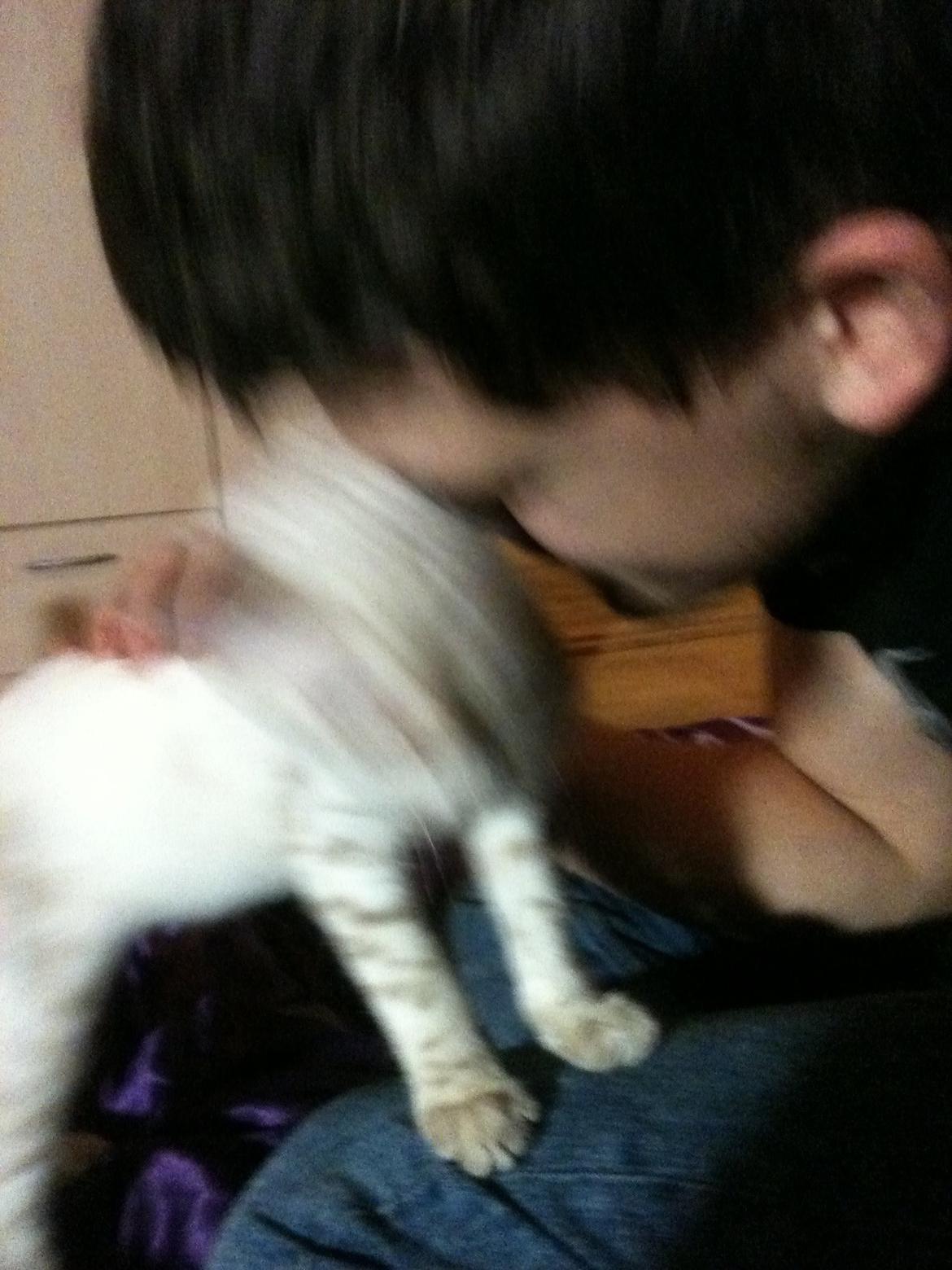 Bengal Kungsgarden Daybreak Over Kalahari billede 6