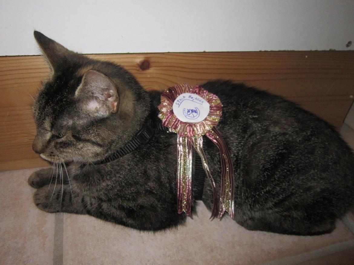 Huskat Ester billede 3