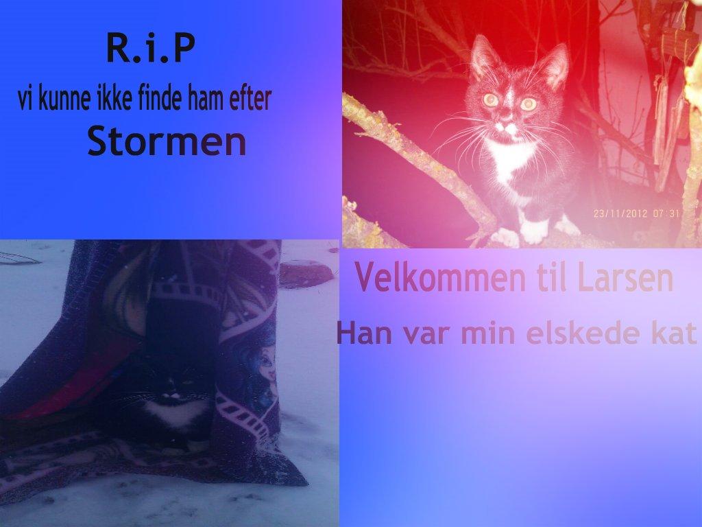 Huskat Larsen billede 1