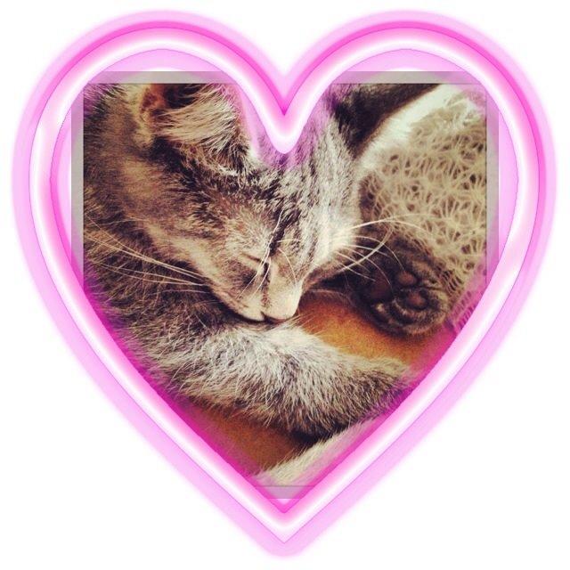 Huskat Putte billede 4