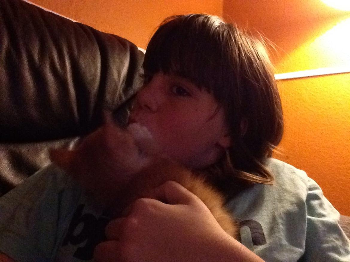 Huskat Sofus billede 25