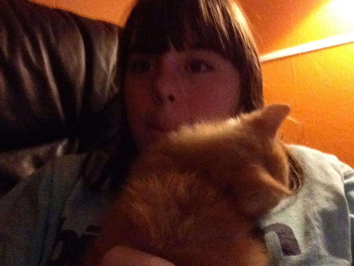 Huskat Sofus billede 27