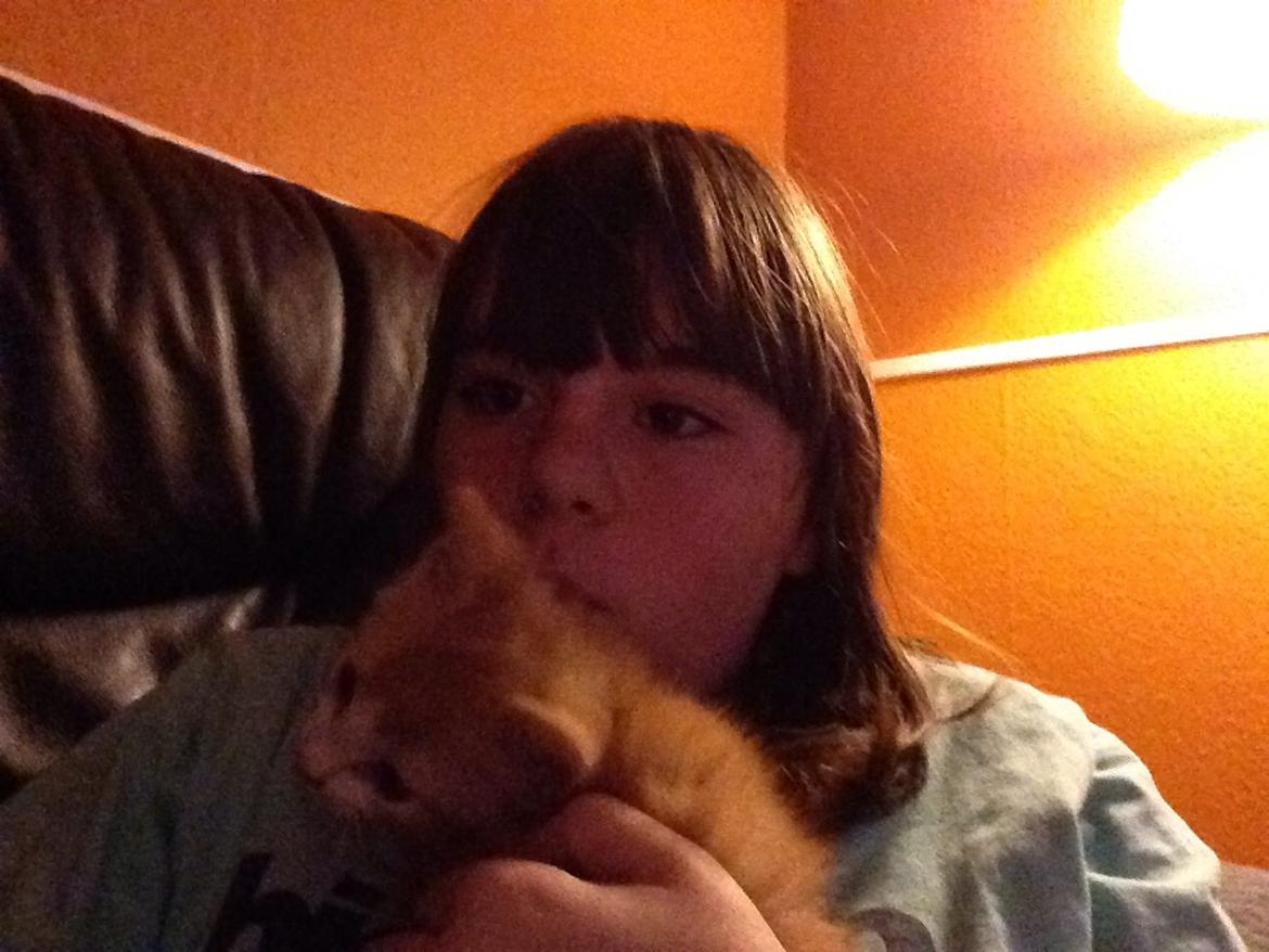 Huskat Sofus billede 28