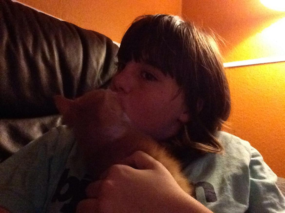 Huskat Sofus billede 30