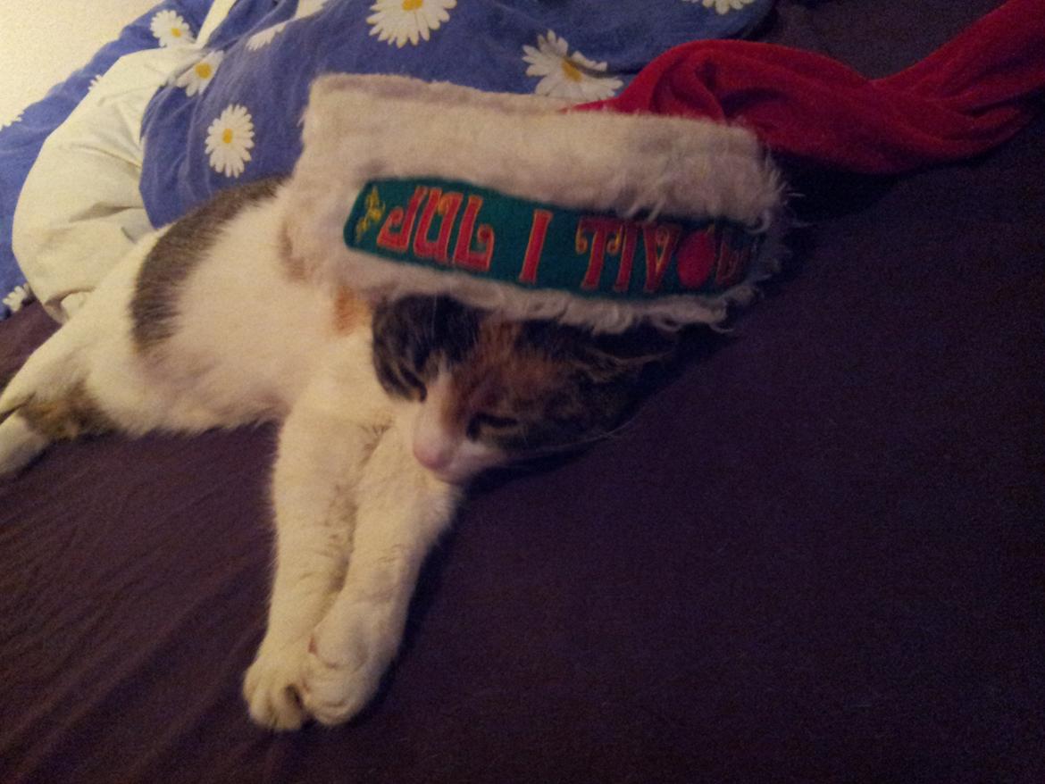 Huskat Hjerte billede 3