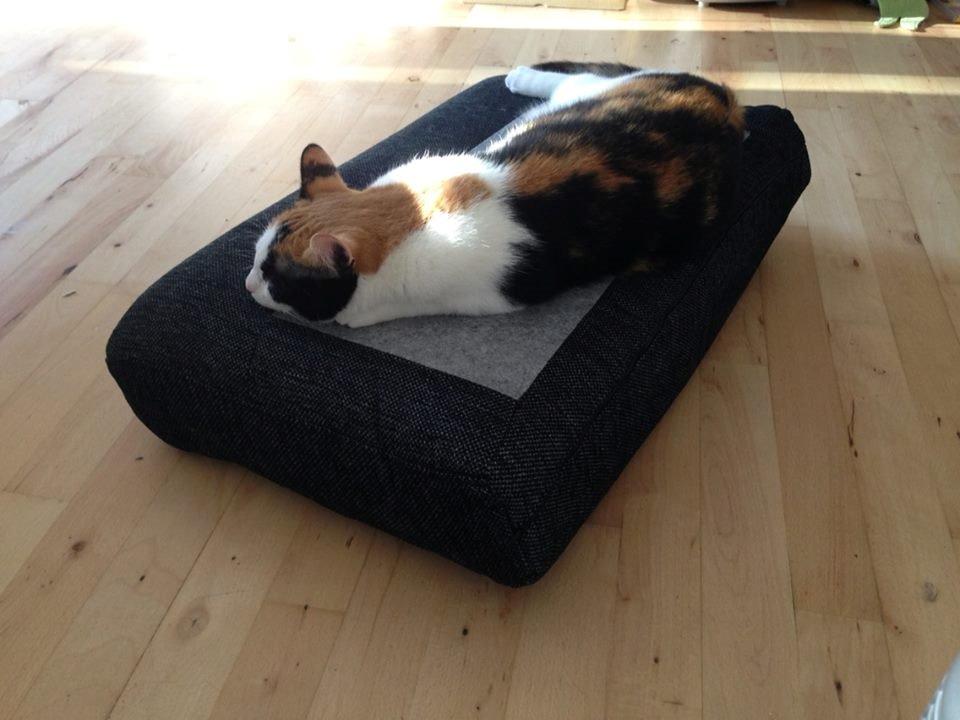 Huskat Pippy billede 11