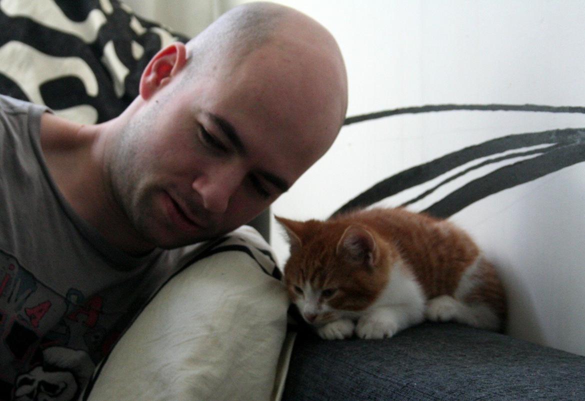 Huskat Lille Mæs billede 33