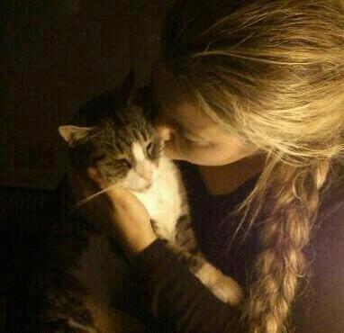 Huskat Sylvester billede 22