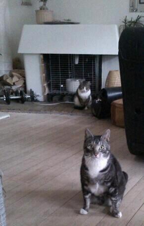 Huskat Mummu billede 23