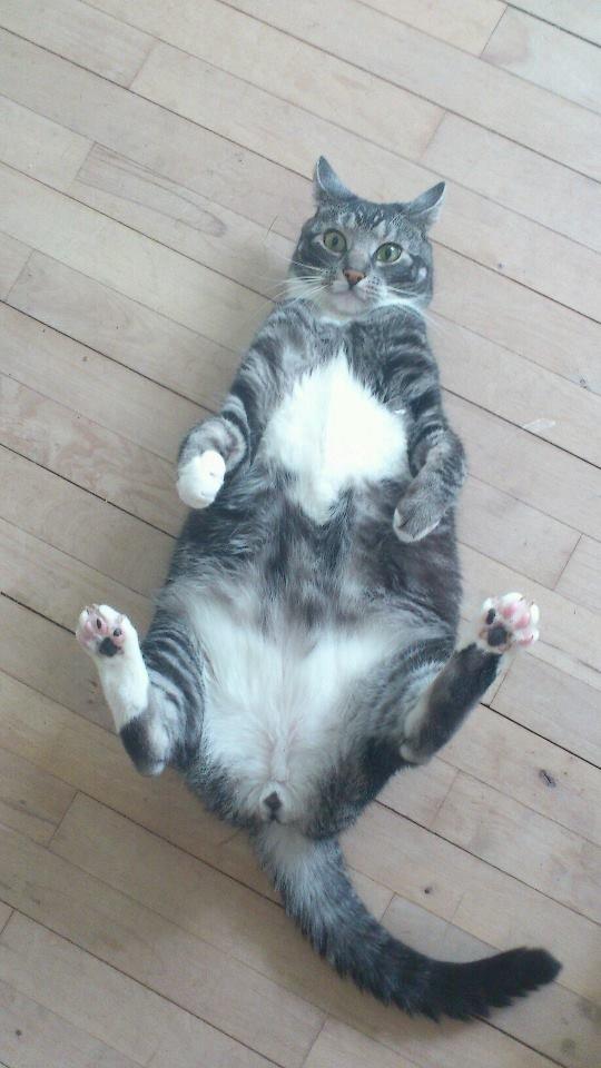 Huskat Mummu billede 28