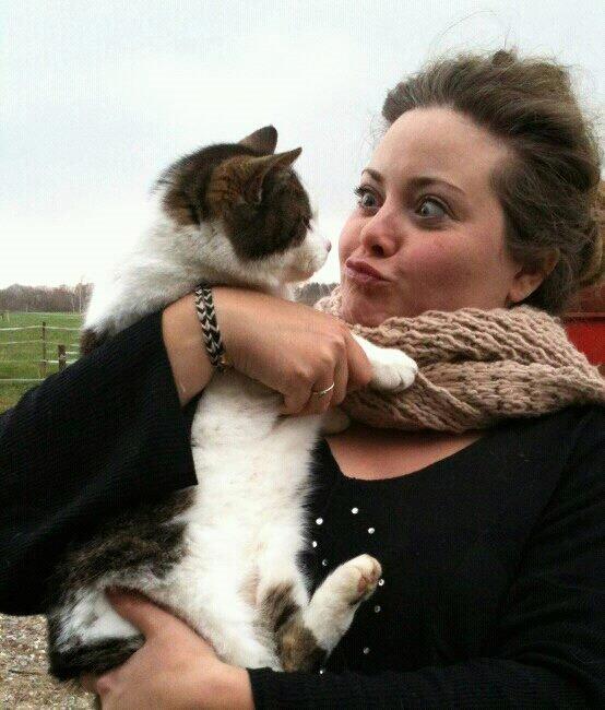 Huskat Gizmo billede 8