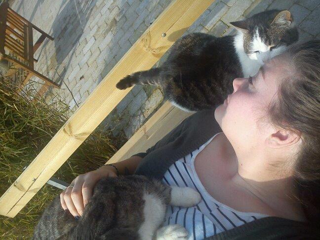 Huskat Gizmo billede 14