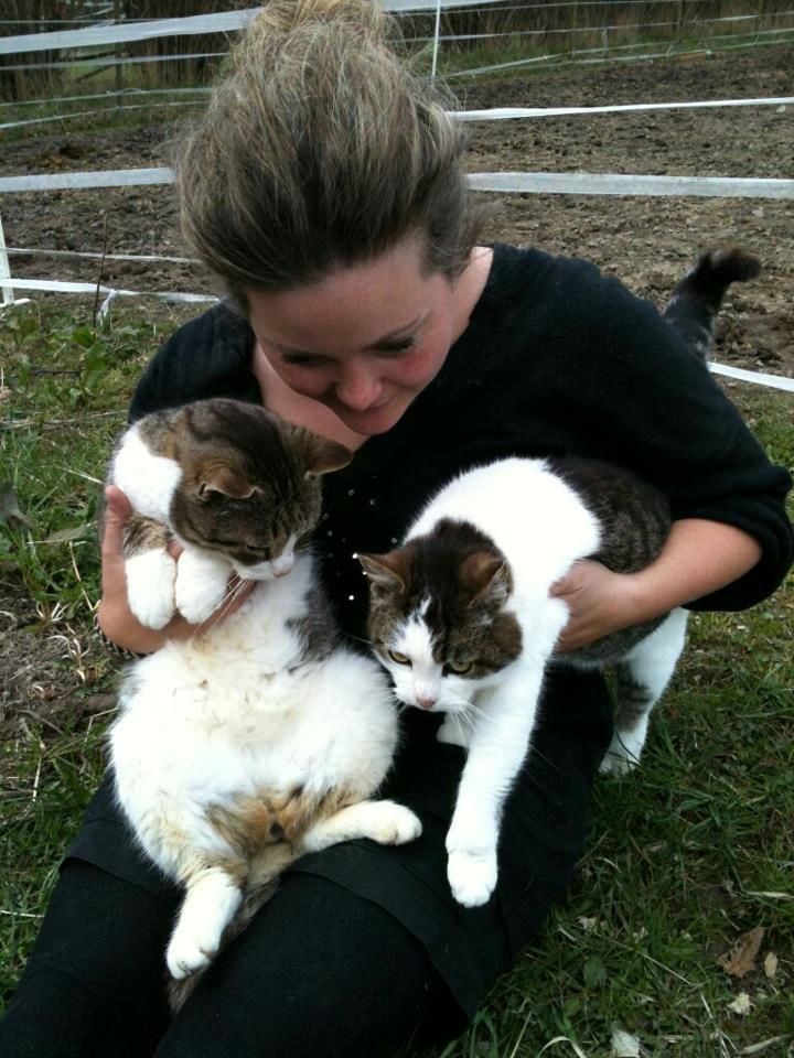 Huskat Sylvester billede 41