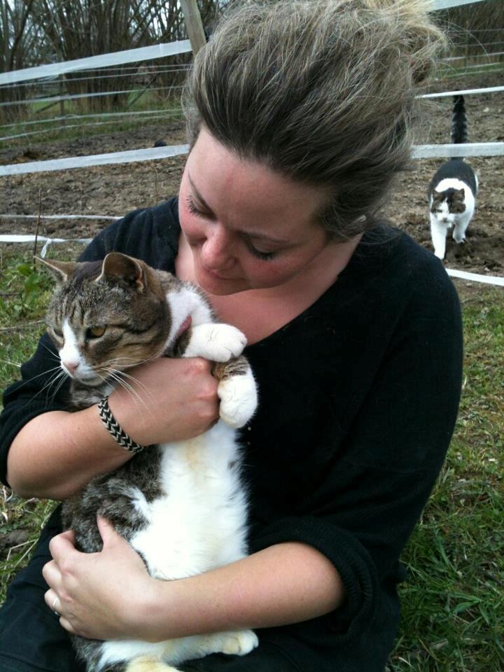 Huskat Sylvester billede 44