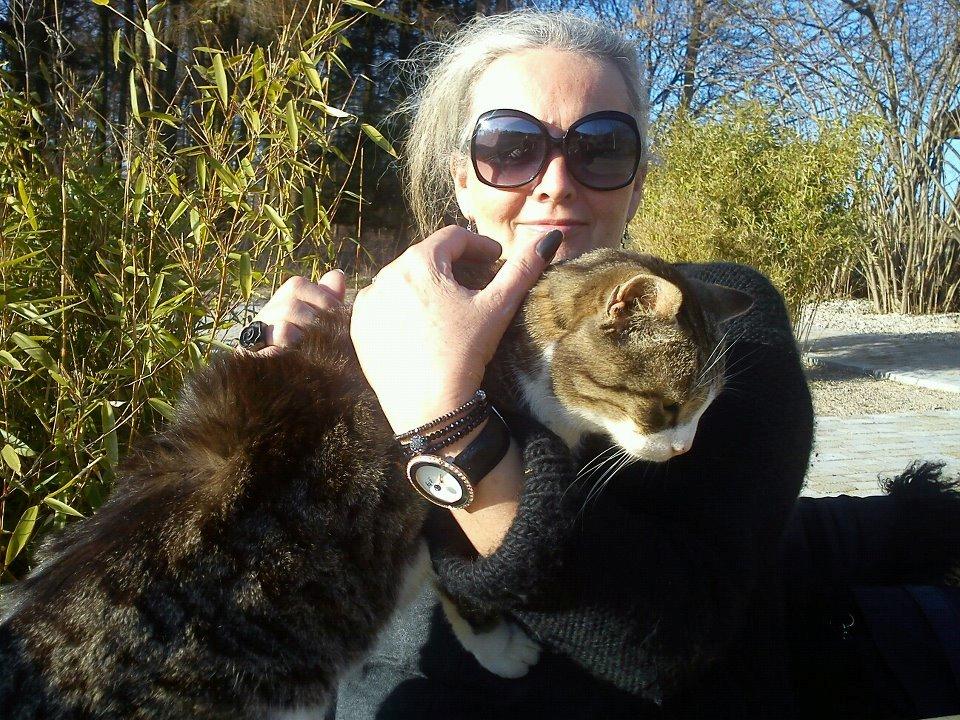 Huskat Sylvester billede 45